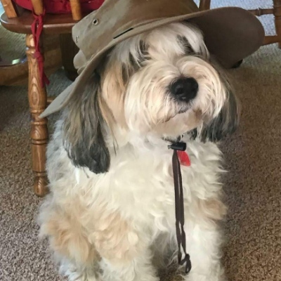 Me 🐶