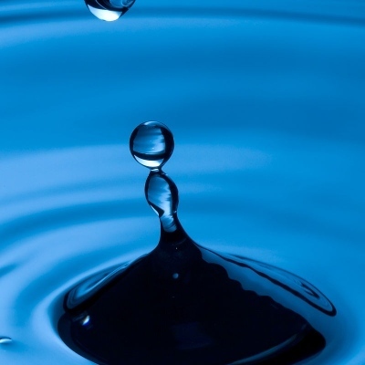 sentient_water@neurodifferent.me