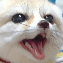 :fenchamp: