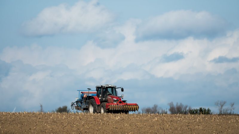 https://www.euractiv.com/section/agriculture-food/opinion/the-eus-biocontrol-bottleneck-a-call-for-urgent-regulatory-reform/