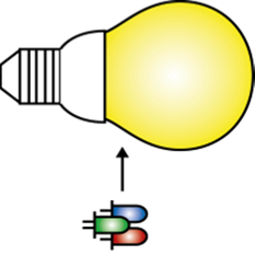 bulb