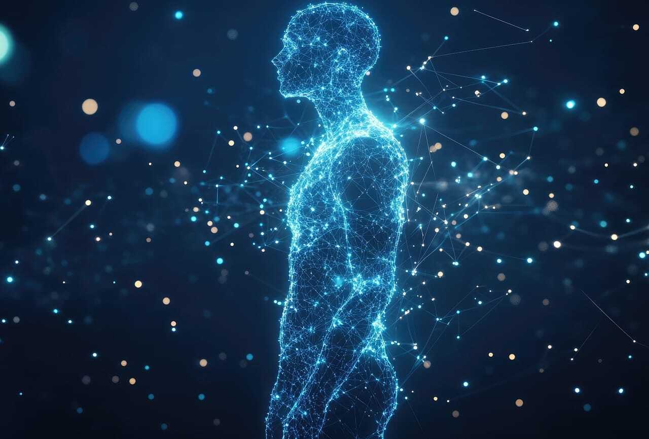 Human Body