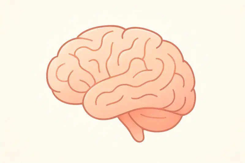 Drawing of a brain. Image by ChatGPT