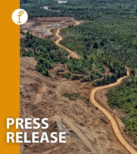 An area of forest the size of 18 football fields will be destroyed every day for the next 25 years to meet EU demand for Electric Vehicles under current scenarios, new study finds