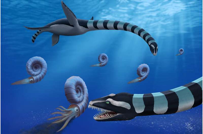 Mystery behind terrifying 85million-year-old sea monster with giant teeth that 'crushed' prey solved after decades