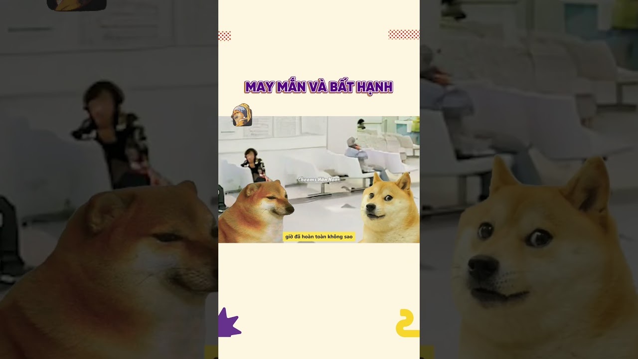 May mắn và bất hạnh | Cheems Hân Hoan