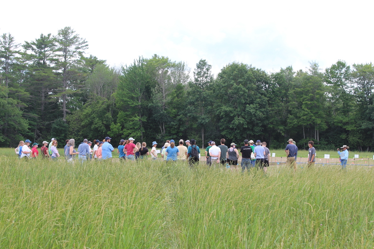 people gathered in a field at Rogers Farm people gathered in a field at Rogers Farm