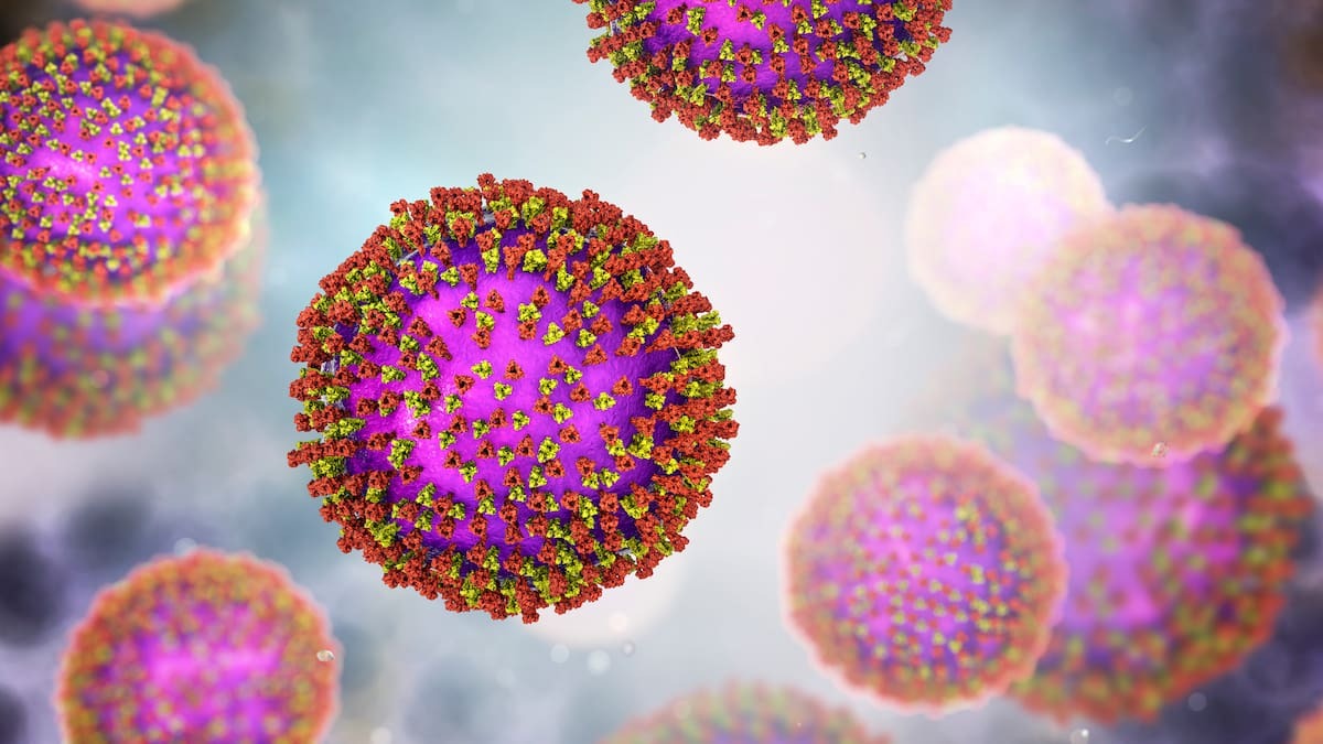 New measles cases: Three infected people visit Masterton Pak’nSave, Carterton library