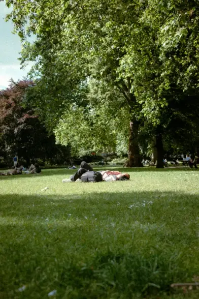 People lying on top of a lush green field. Photo by Cagdas Ilke Una on Unsplash