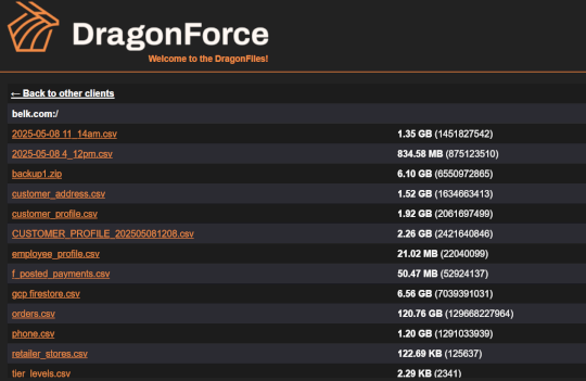 belk-hit-by-may-cyberattack:-dragonforce-stole-150gb-of-data-–-source:-securityaffairs.com