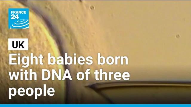 World-first IVF trial reduces risk of babies inheriting diseases • FRANCE 24 English