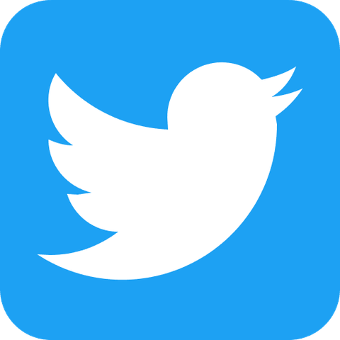 The Twitter logo.