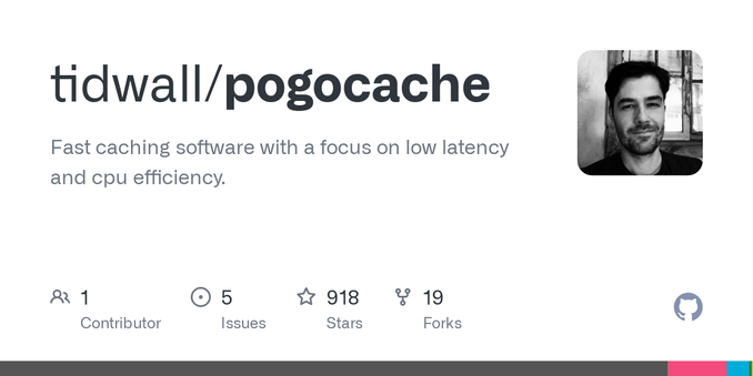 Fast caching software with a focus on low latency and cpu efficiency. - tidwall/pogocache
