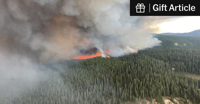 Fires at Tatkin Lake in British Columbia, Canada, in July 2023.