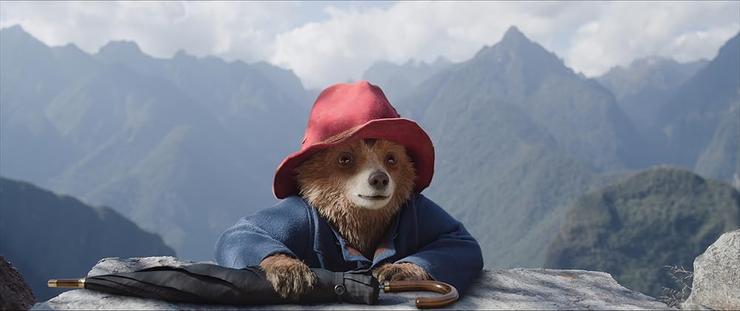 'Paddington in Peru'