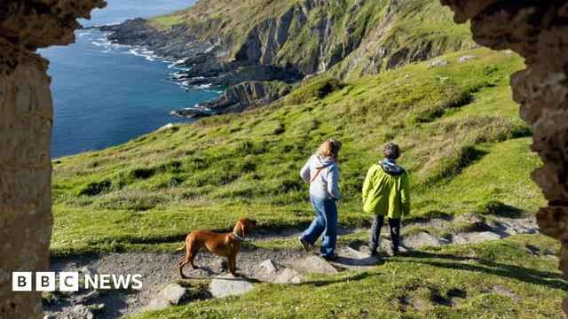 Two people are walking along a grassy path accompanied by a brown dog. The path winds toward dramatic, rocky cliffs that drop into the sea.
