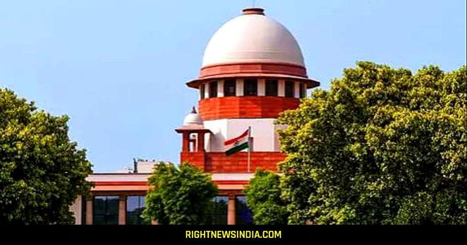 Ban Imposed On Cutting Apple Trees In Himachal Ban Imposed On Cutting Apple Trees In Himachal