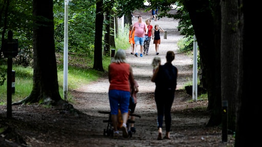 Protestmars tegen afschieten probleemwolf die wandelaars bijt in Utrechtse bossen