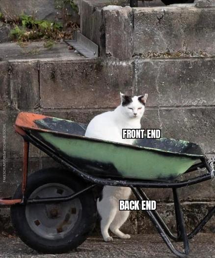 Posted media