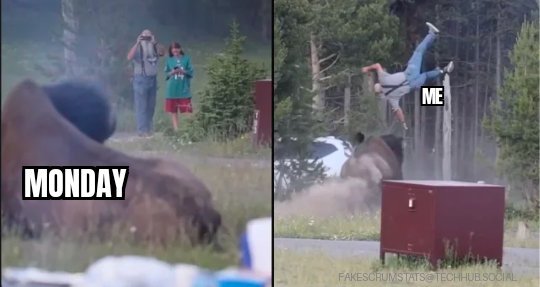 A bison (labeled Monday) in Yellowstone national Park sitting a watch a couple of people then launches a man (labeled Me) into the air.