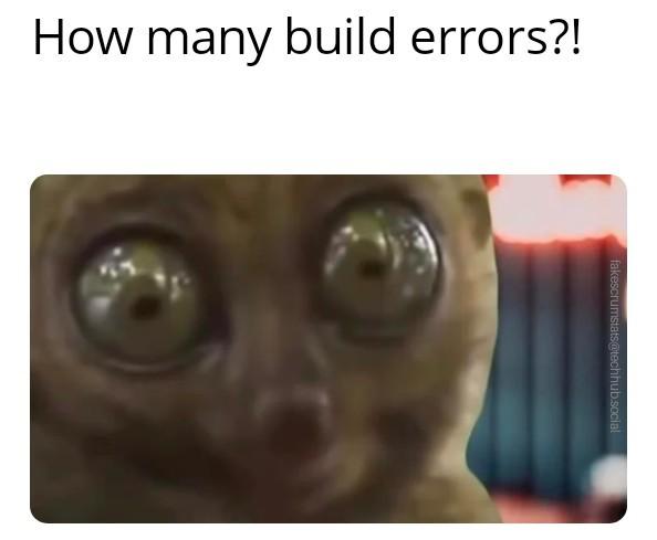 Photo of a slow loris with very large eyes

Caption: How many build errors?!