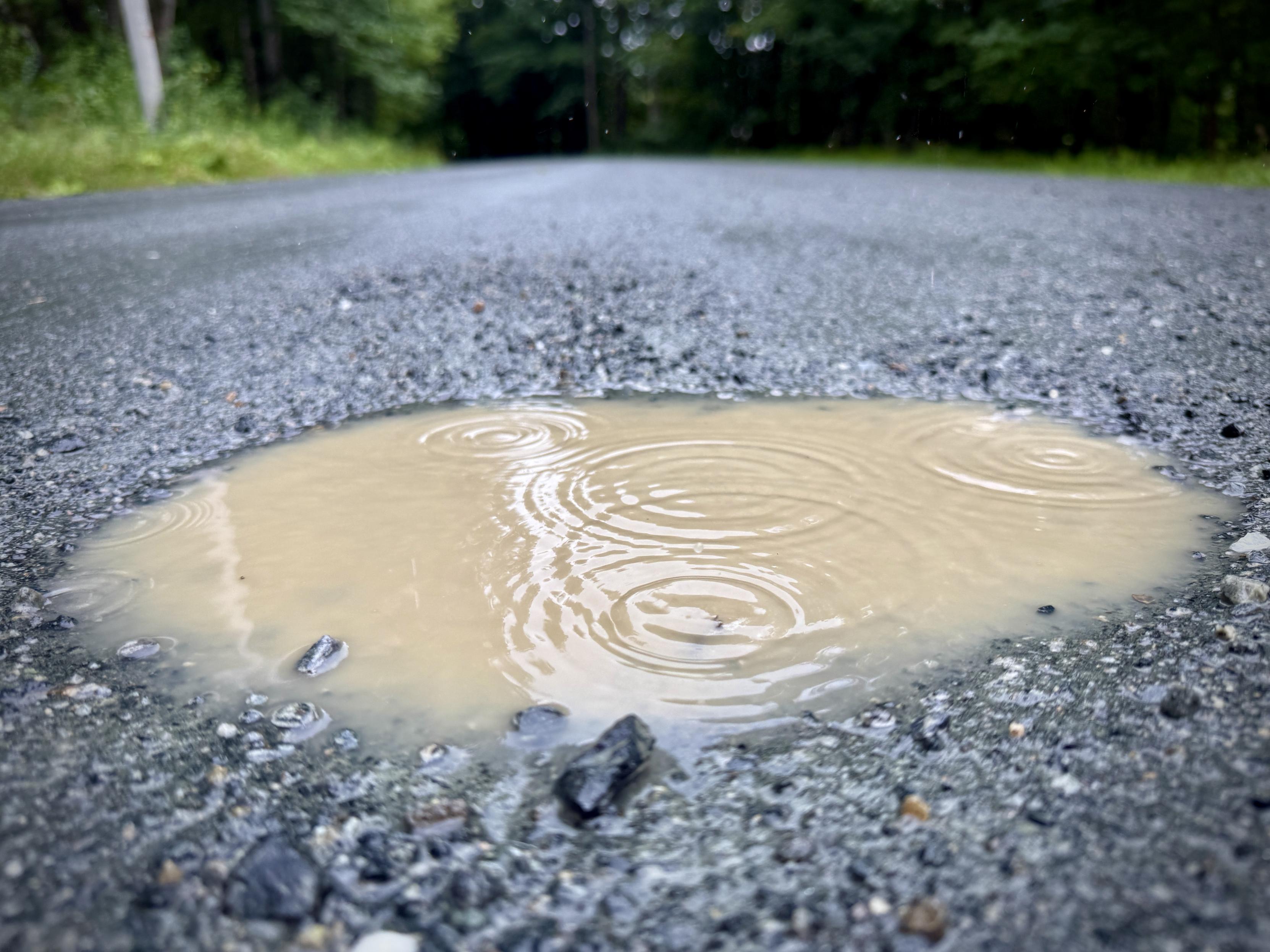 Low view of a puddle that has had a few raindrops hit is and the ripples in surface are now frozen for all time.