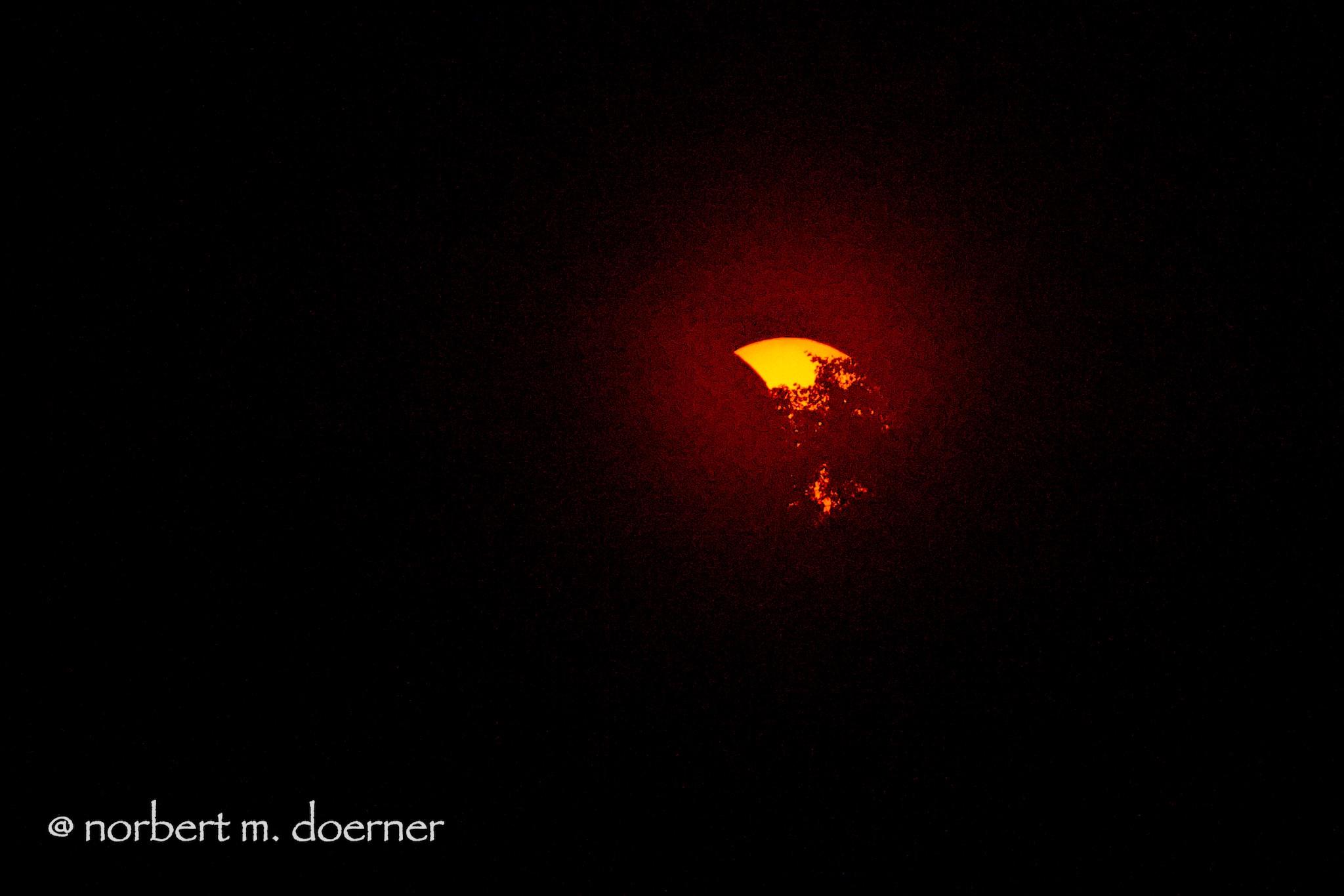 Die bei der teilweisen Sonnenfinsternis gestern vom Mond bedeckte, orangene Sonnenscheibe hat in diesem Bild auch noch Äste und Blätter eines Baumes davor, und die erzeugen einen angefressenen Eindruck. Das alles vor einem schwarzen Himmel